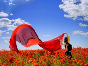 wind-of-freedom