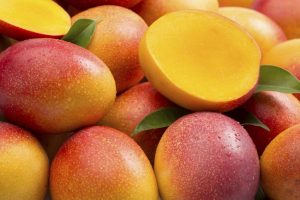 bg-mango-01-1024x682
